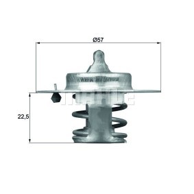 Achetez des Thermostat d'eau BEHR THERMOT-TRONIK TX 60 83D à prix pour 20,15 €