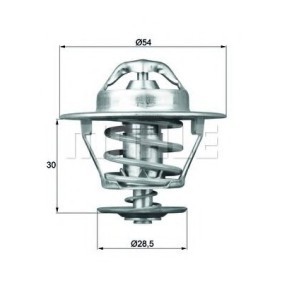 Kühlwasserthermostat TX 74 89