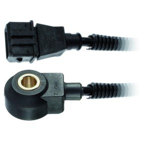 Klopfsensor 6PG 009 108-771
