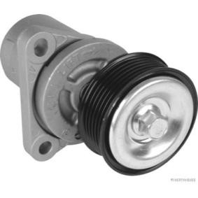 Compre Tensor de correia, correia trapezoidal estriada da HERTH+BUSS JAKOPARTS J1143062 a um preço baixo por 82,50 €