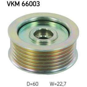 Comprar Polea inversión / guía, correa poli V de SKF VKM 66003 a bajo precio de 39,67 €