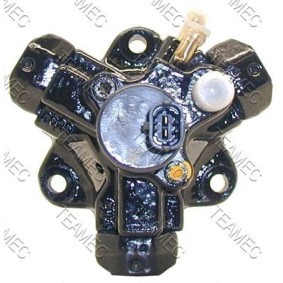 Achetez des Pompe à injection TEAMEC 874 024 à prix pour 401,24 €
