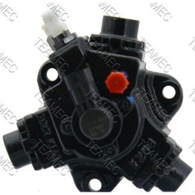 Achetez des Pompe à injection TEAMEC 874 046 à prix pour 380,77 €