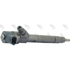 Achetez des Injecteur TEAMEC 810 099 à prix pour 308,87 €