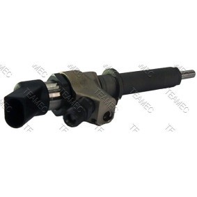 Achetez des Injecteur TEAMEC 811 010 à prix pour 382,31 €