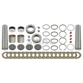 Achetez des Kit d'assemblage, pivot de fusée d'essieu SWAG 99 92 4666 à prix pour 151,92 €