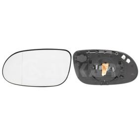 Spiegelglas, Außenspiegel 6423700