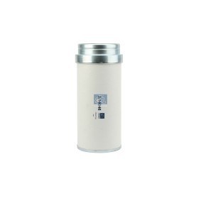 Køb Luftfilter af DT Spare Parts 2.14046 til den lave pris 740,04 DKK