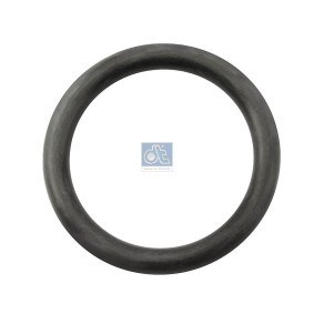 Osta Tiivisterengas, jarrukenkä DT Spare Parts:llä 4.20300 edullisesti hintaan 0,79 €
