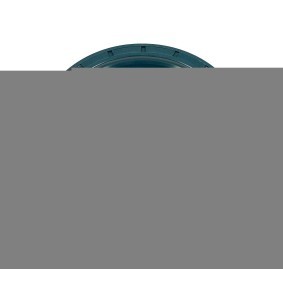 Wellendichtring, Differential 4.20635