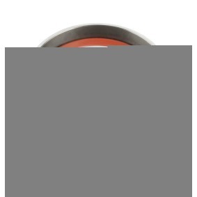Compre Polea inversión / guía, correa poli v de DT Spare Parts online para DAILY II Furgón/ranchera familiar a precios moderados
