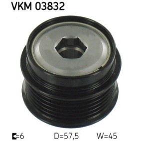 Achetez des Poulie roue libre, alternateur SKF VKM 03832 à prix pour 78,38 €