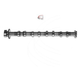 Acquista Albero a camme da CAMPRO CP10280 a buon mercato per soli 273,94 €