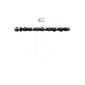 Nockenwelle von CAMPRO