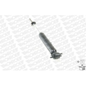 Stoßdämpfer E4975