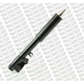 Stoßdämpfer R11004