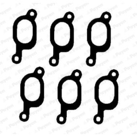 Comprar Juego de juntas, colector de escape de PAYEN HA5042 a bajo precio de 23,28 €