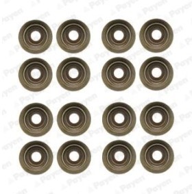 Achetez des Jeu de boulons de culasse de cylindre PAYEN HBS370 à prix pour 276,36 €