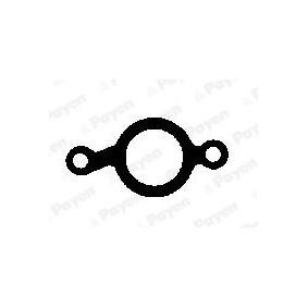Comprar Junta, colector de escape de PAYEN JA5042 a bajo precio de 4,77 €