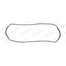 Comprar Junta, tapa de culata de cilindro de PAYEN JM2052 a bajo precio de 10,25 €