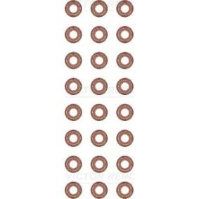 Comprar Juego de juntas, vástago de válvula de REINZ 12-29491-02 a bajo precio de 23,65 €