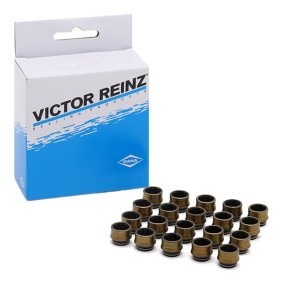 Comprar Juego de juntas, vástago de válvula de REINZ 12-31306-03 a bajo precio de 16,86 €