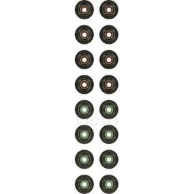 Comprar Juego de juntas, vástago de válvula de REINZ 12-33876-01 a bajo precio de 25,03 €