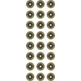 Comprar Juego de juntas, vástago de válvula de REINZ 12-34343-01 a bajo precio de 98,23 €