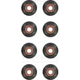 Comprar Juego de juntas, vástago de válvula de REINZ 12-34399-01 a bajo precio de 10,09 €