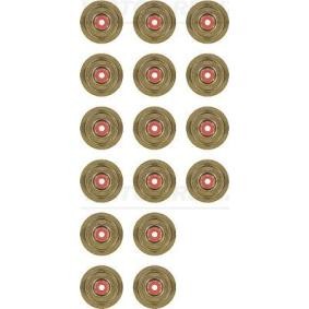 Comprar Juego de juntas, vástago de válvula de REINZ 12-36497-01 a bajo precio de 50,36 €