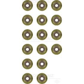 Comprar Juego de juntas, vástago de válvula de REINZ 12-38539-01 a bajo precio de 20,30 €