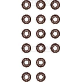 Comprar Juego de juntas, vástago de válvula de REINZ 12-52811-01 a bajo precio de 17,55 €