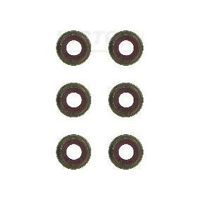 Comprar Juego de juntas, vástago de válvula de REINZ 12-52824-01 a bajo precio de 10,90 €