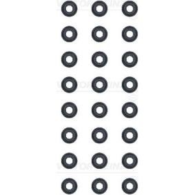 Comprar Juego de juntas, vástago de válvula de REINZ 12-52829-03 a bajo precio de 29,79 €