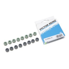Comprar Juego de juntas, vástago de válvula de REINZ 12-52829-04 a bajo precio de 15,56 €