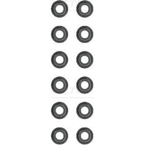 Comprar Juego de juntas, vástago de válvula de REINZ 12-52906-02 a bajo precio de 21,12 €