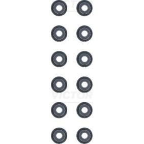 Comprar Juego de juntas, vástago de válvula de REINZ 12-53129-02 a bajo precio de 7,69 €