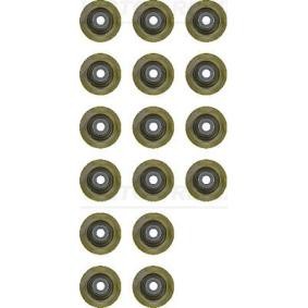 Comprar Juego de juntas, vástago de válvula de REINZ 12-53438-02 a bajo precio de 37,28 €