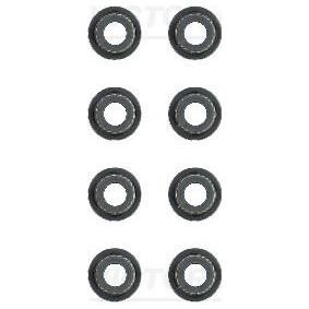 Comprar Juego de juntas, vástago de válvula de REINZ 12-53473-01 a bajo precio de 12,40 €