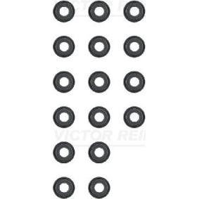 Comprar Juego de juntas, vástago de válvula de REINZ 12-53489-01 a bajo precio de 4,55 €