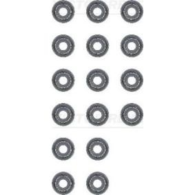 Comprar Juego de juntas, vástago de válvula de REINZ 12-53678-01 a bajo precio de 21,07 €