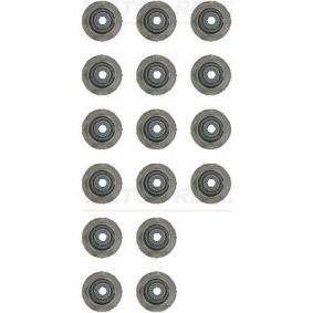 Comprar Juego de juntas, vástago de válvula de REINZ 12-54206-01 a bajo precio de 32,73 €