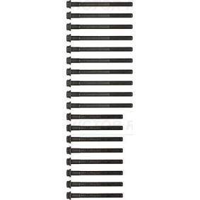 Acquista Kit bulloni testata da REINZ 14-55028-01 a buon mercato per soli 35,42 €