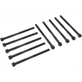 Acquista Kit bulloni testata da REINZ 14-55033-01 a buon mercato per soli 31,08 €