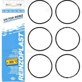 Achetez des Jeu de joints d'étanchéité, couvercle de culasse REINZ 15-76741-03 à prix pour 22,97 €