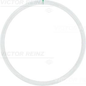 Zylinderkopfdichtung 61-25315-10 VOLKSWAGEN TRANSPORTER von REINZ