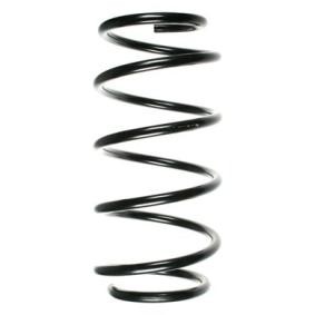 Compre Mola de suspensão da SPIDAN 48249 a um preço baixo por 75,52 €