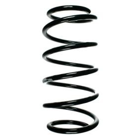 Compre Mola de suspensão da SPIDAN 48373 a um preço baixo por 82,91 €