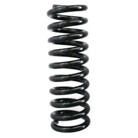 Compre Mola de suspensão da SPIDAN 48463 a um preço baixo por 96,54 €