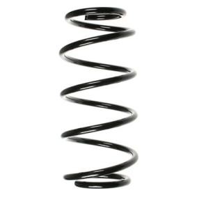 Compre Mola de suspensão da SPIDAN 48491 a um preço baixo por 52,60 €